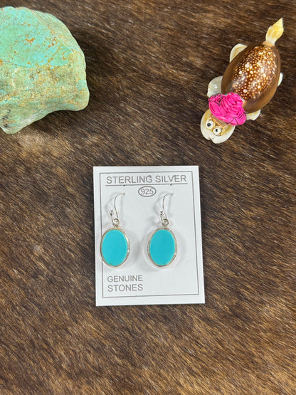 Turquoise Dangle Earring