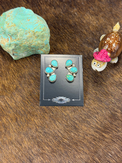 Kingman Turquoise Half Cluster Earring