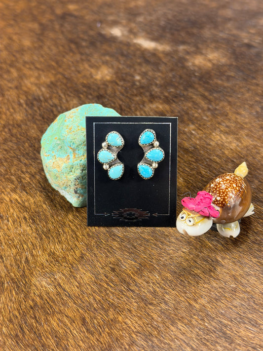 Kingman Turquoise Half Cluster Earring