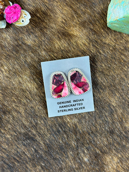 Matte Style Post Earrings