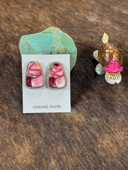 Matte Style Post Earrings