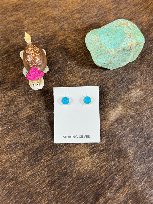 Sleeping Beuty Stud Earrings