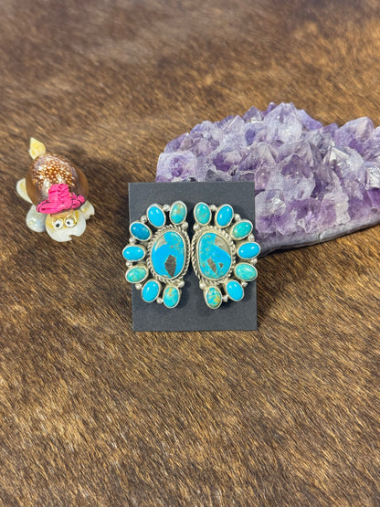 Kingman Turquoise Half Cluster Earring