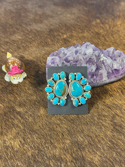 Kingman Turquoise Half Cluster Earring