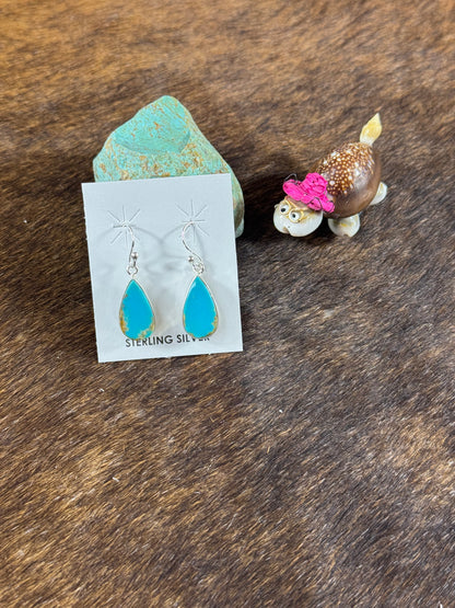 Turquoise Dangle Earrings